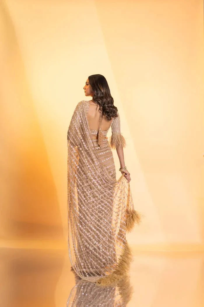 Precious Cream Color Mono Net With Sequins Embroidery work Saree